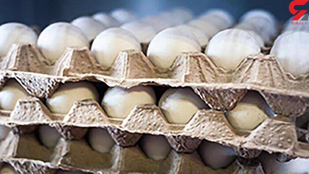 قیمت قانونی تخم مرغ برای مصرف کننده چقدر است ؟