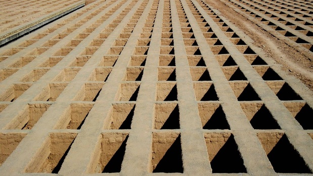 تکذیب قیمت چند صد میلیونی قبر در بهشت زهرا تکذیب قیمت چند صد میلیونی قبر در بهشت زهرا