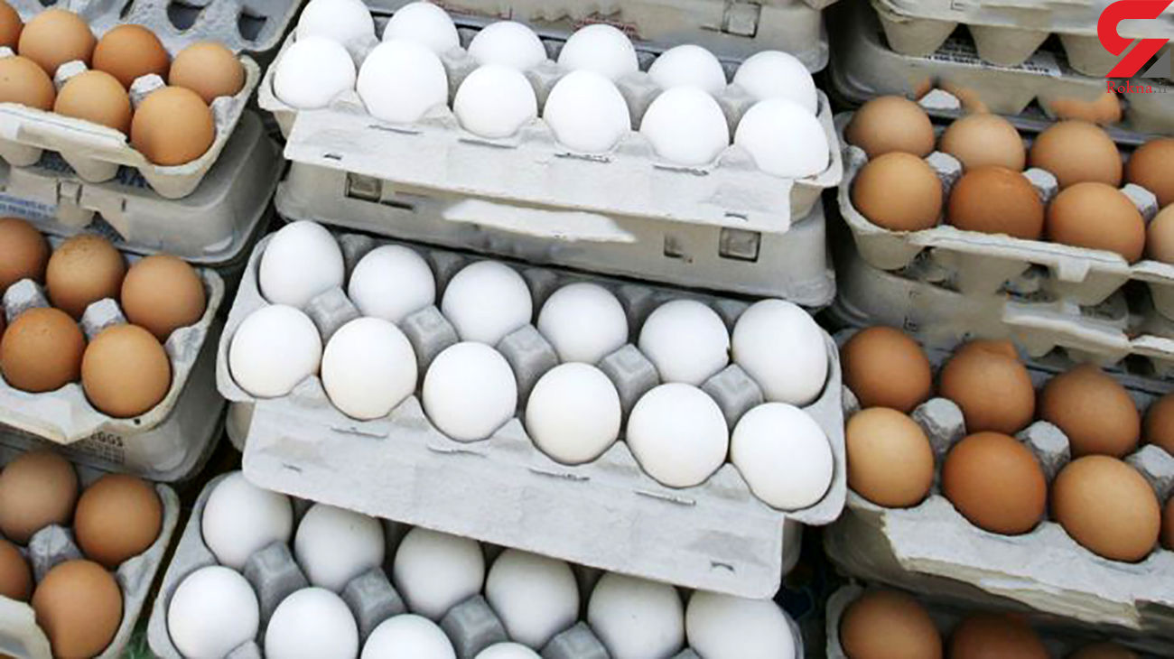 قیمت تخم مرغ در بازار امروز چهارشنبه 24 دی ماه 99