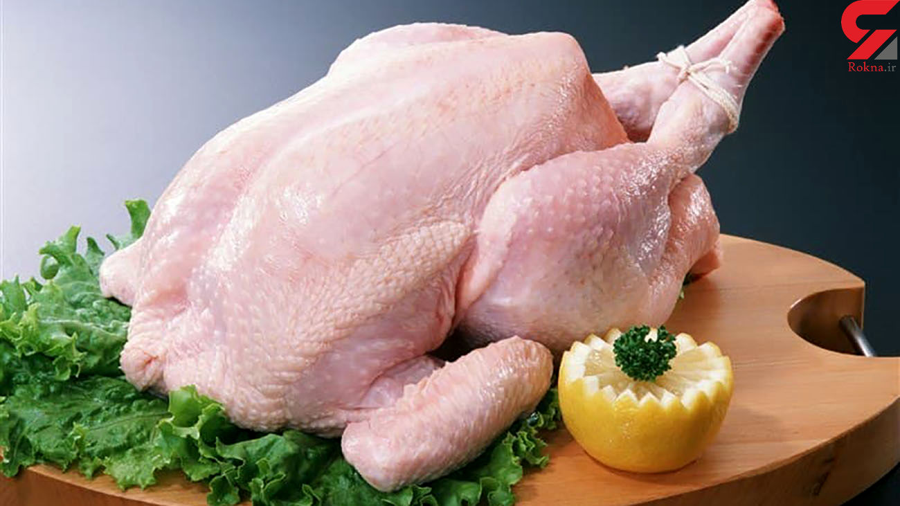 قیمت مرغ افزایش یافت قیمت مرغ افزایش یافت