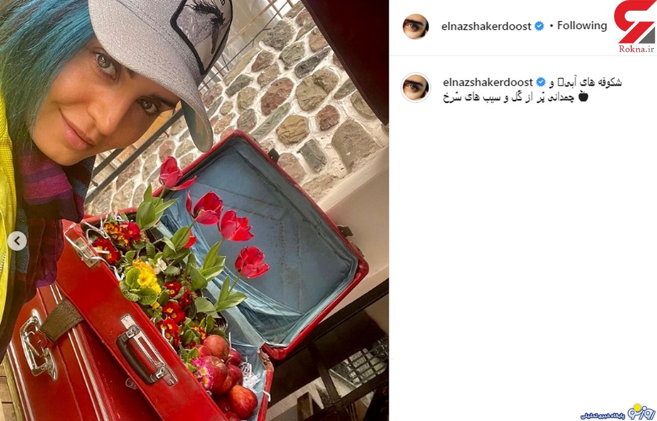 ظاهر جدید الناز شاکردوست با موهای رنگی در نوروز+عکس