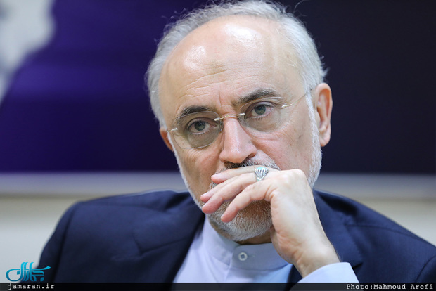 اظهارات صریح علی اکبر صالحی خطاب به مخالفان برجام اظهارات صریح علی اکبر صالحی خطاب به مخالفان برجام