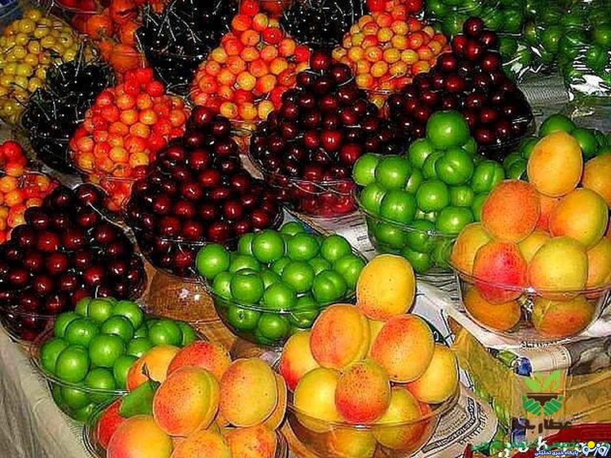 قیمت میوه های نوبرانه