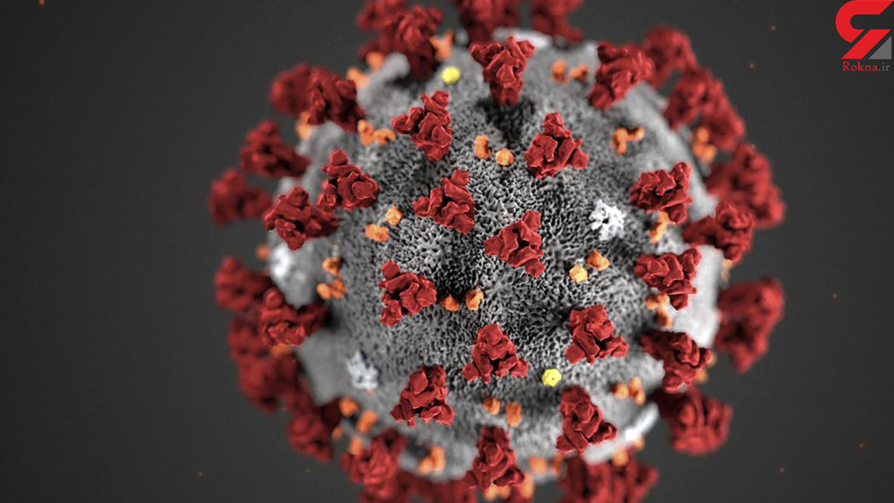 جهشهای عجیب و جدید ویروس کرونا؛ جهش سهگانه و انتقال از سگها جهشهای عجیب و جدید ویروس کرونا؛ جهش سهگانه و انتقال از سگها