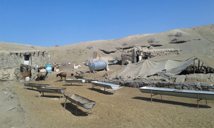 مجله نیچر: خشکسالی مهم ترین تهدید فلات ایران