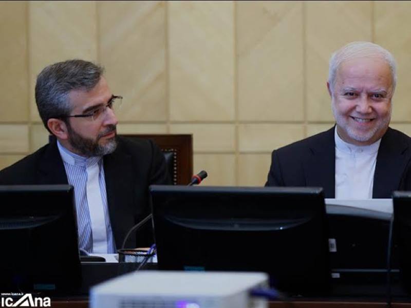 حضور عسگری در انرژی اتمی؟