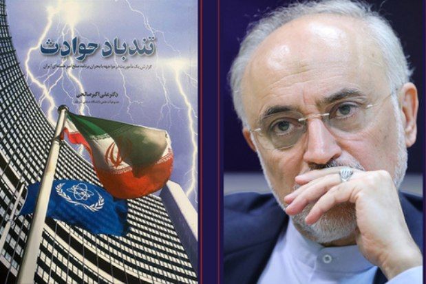 علی اکبر صالحی: ممکن بود ایران با کوچکترین اشتباه با سرنوشتی مشابه عراق مواجه شود علی اکبر صالحی: ممکن بود ایران با کوچکترین اشتباه با سرنوشتی مشابه عراق مواجه شود