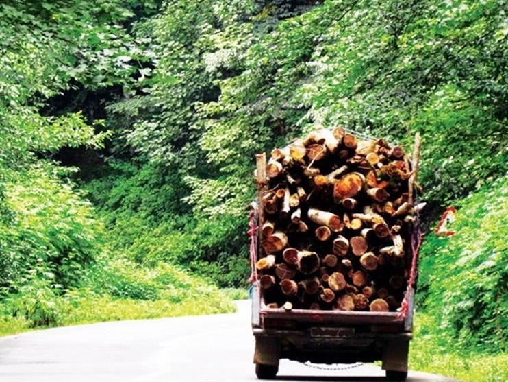 مجلس به دنبال بستنِ راهِ «تنفسِ» جنگل‌های شمال؟