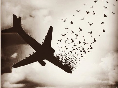 از حواشی دادگاه جان‌باختگان هواپیمای اوکراینی تا کابوس‌های شبانه‌ی خانواده‌ها / گفتگوی «انتخاب» با جمشید رحمانی فر، پدر یکی از قربانیان