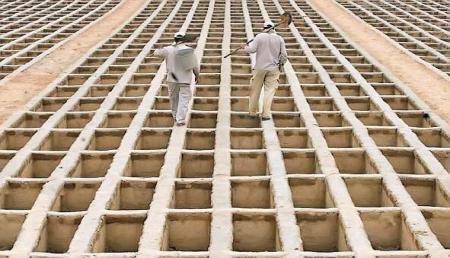 طرح جدید زاکانی: اخذ عوارض از قبرها در تهران!