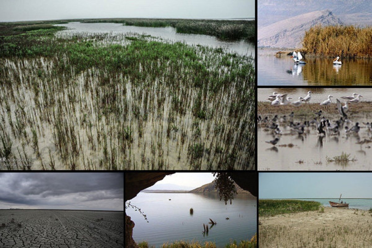 خشکی ۹۹ درصدی تالابهای گلستان خشکی ۹۹ درصدی تالابهای گلستان