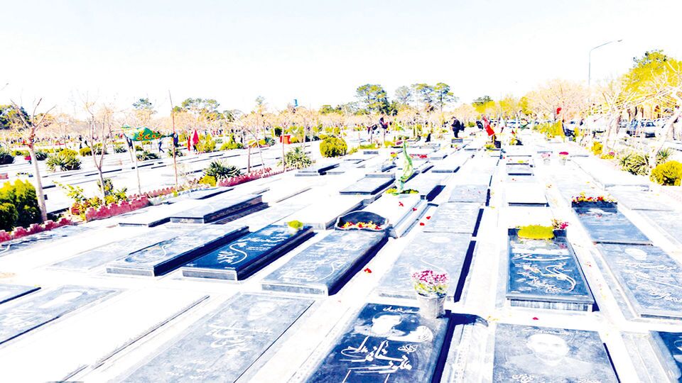 مخالفت با افزایش جریمه درخت‌کشی