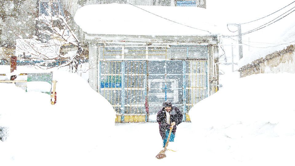 بارش بیسابقه برف در چهارمحال و بختیاری، خسارت به بار آورد بارش بیسابقه برف در چهارمحال و بختیاری، خسارت به بار آورد