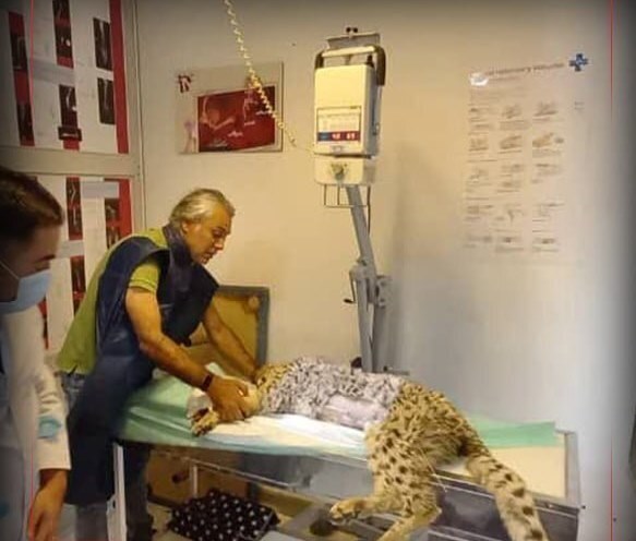 نگرانی برای پسر محبوب ایران؛ حال وخیمِ «پیروز» نگرانی برای پسر محبوب ایران؛ حال وخیمِ «پیروز»