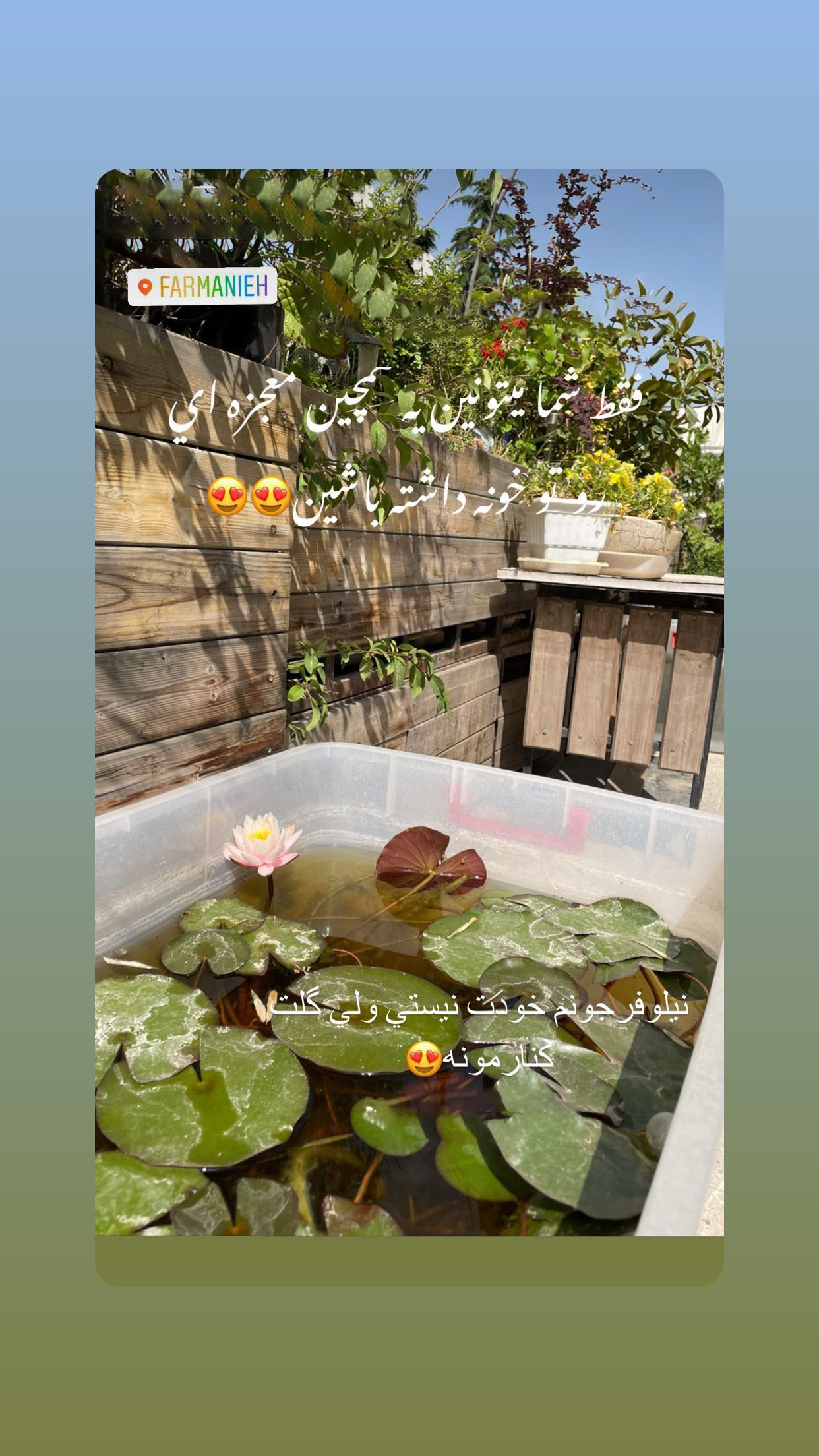 معجزه در خانه لاکچری کتایون ریاحی/عکس