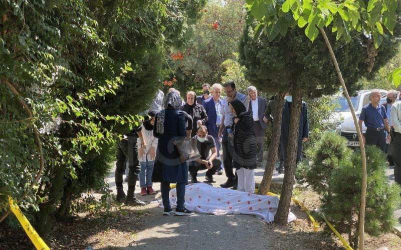 چه کسی رئیس اسبق سازمان پزشکی قانونی را به قتل رساند؟ چه کسی رئیس اسبق سازمان پزشکی قانونی را به قتل رساند؟