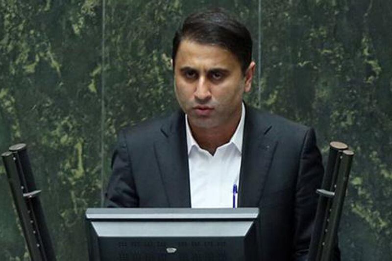 از سفر فرزند انسیه خزعلی به کانادا حیرت زده شدم از سفر فرزند انسیه خزعلی به کانادا حیرت زده شدم