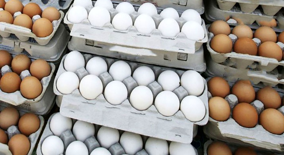 اصلاح قیمت تخم مرغ در راه است؟ اصلاح قیمت تخم مرغ در راه است؟