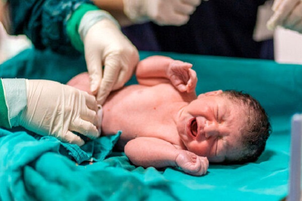 آمار رسمی نوزادان رها شده در تهران آمار رسمی نوزادان رها شده در تهران