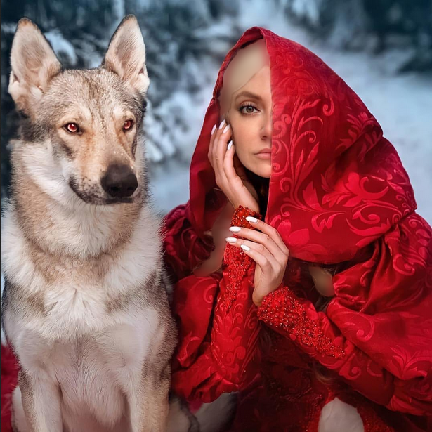 مهناز افشار در کنار گرگ وحشی/عکس