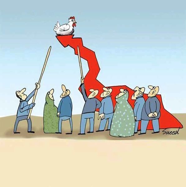 یک کیلومرغ: ١٠٠,٠٠٠ تومان