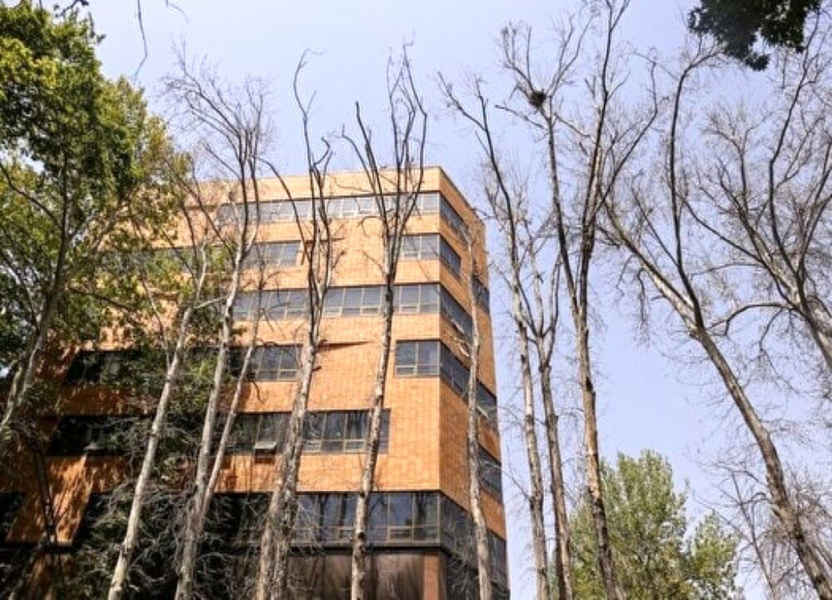 ماجرای حضور سوسک پوستخوار در تهران چیست؟/ درختان این مناطق خشک شدند ماجرای حضور سوسک پوستخوار در تهران چیست؟/ درختان این مناطق خشک شدند