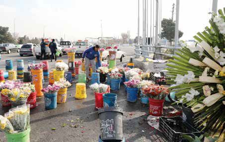 بهشت‌زهرا مامن مشاغل کاذب پیر و جوان