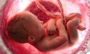 زنا ن مطلقه و بيوه گزينه اصلي رحم اجارهاي زنا ن مطلقه و بيوه گزينه اصلي رحم اجارهاي