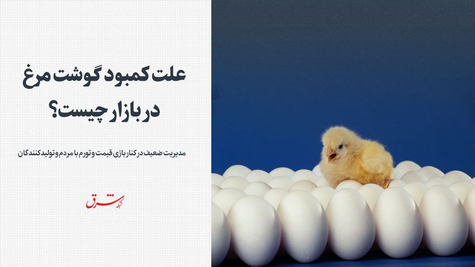 علت کمبود گوشت مرغ در بازار چیست؟ علت کمبود گوشت مرغ در بازار چیست؟