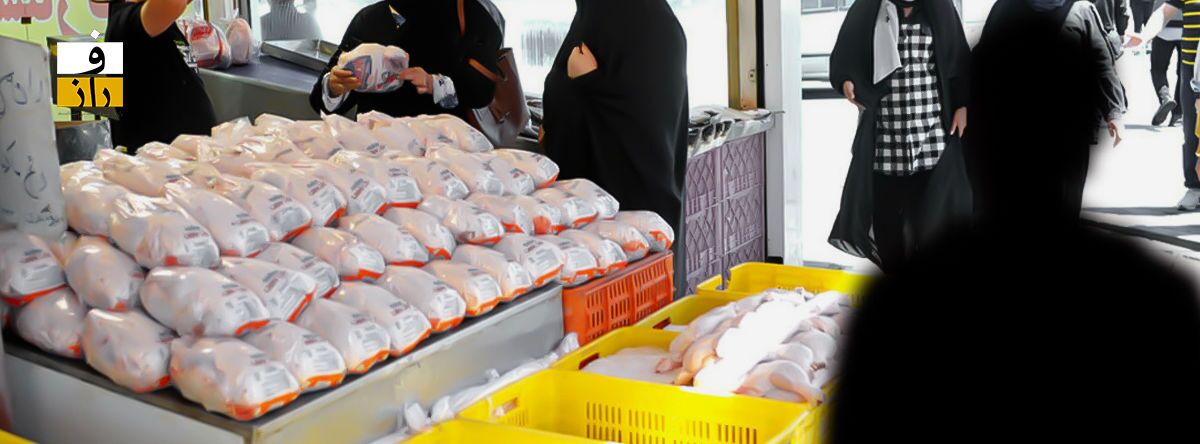 چند جمعه دیگر صبر کنیم تا مرغ ارزان شود؟ چند جمعه دیگر صبر کنیم تا مرغ ارزان شود؟