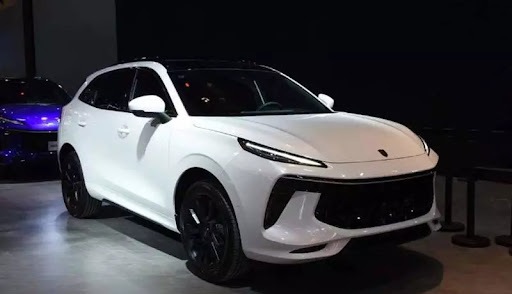 اختلاف قیمت لاماری از کارخانه تا بازار به 540 میلیون تومان رسید