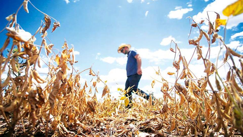 اقتصاد گرفتار «ال‌نینو»