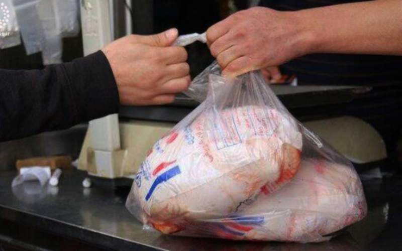 دولت در کجای رگولاتوری بازار مرغ ایفای نقش میکند؟! دولت در کجای رگولاتوری بازار مرغ ایفای نقش میکند؟!