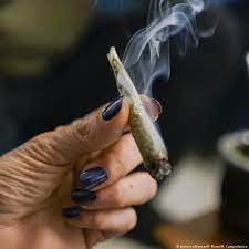 پرواز و سقوط با «گل» پرواز و سقوط با «گل»