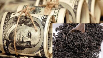 اتفاق عجیب در پرونده فساد چای/ چه کسانی از قبل هشدار دادند اما شنیده نشد؟ اتفاق عجیب در پرونده فساد چای/ چه کسانی از قبل هشدار دادند اما شنیده نشد؟