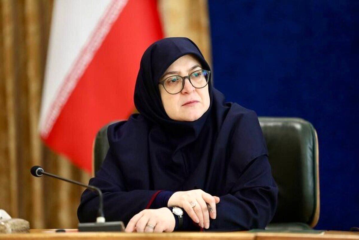 واکنش تند سخنگوی دولت به فحاشی علیه ظریف واکنش تند سخنگوی دولت به فحاشی علیه ظریف