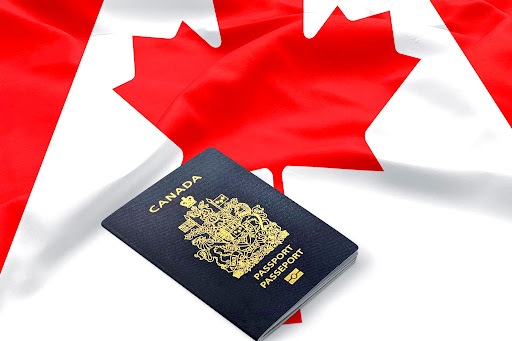 وعده: مهاجرت، واقعیت: کلاهبرداری وعده: مهاجرت، واقعیت: کلاهبرداری