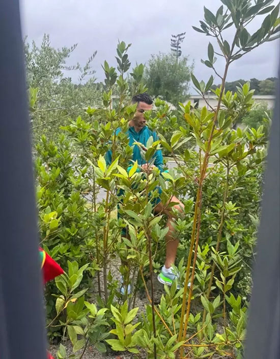 شوخی خداداد عزیزی با عکس منتشر شده از رونالدو