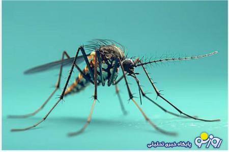 هشدار به تهرانیها؛ پشههای آدمکش به پایتخت میرسند هشدار به تهرانیها؛ پشههای آدمکش به پایتخت میرسند