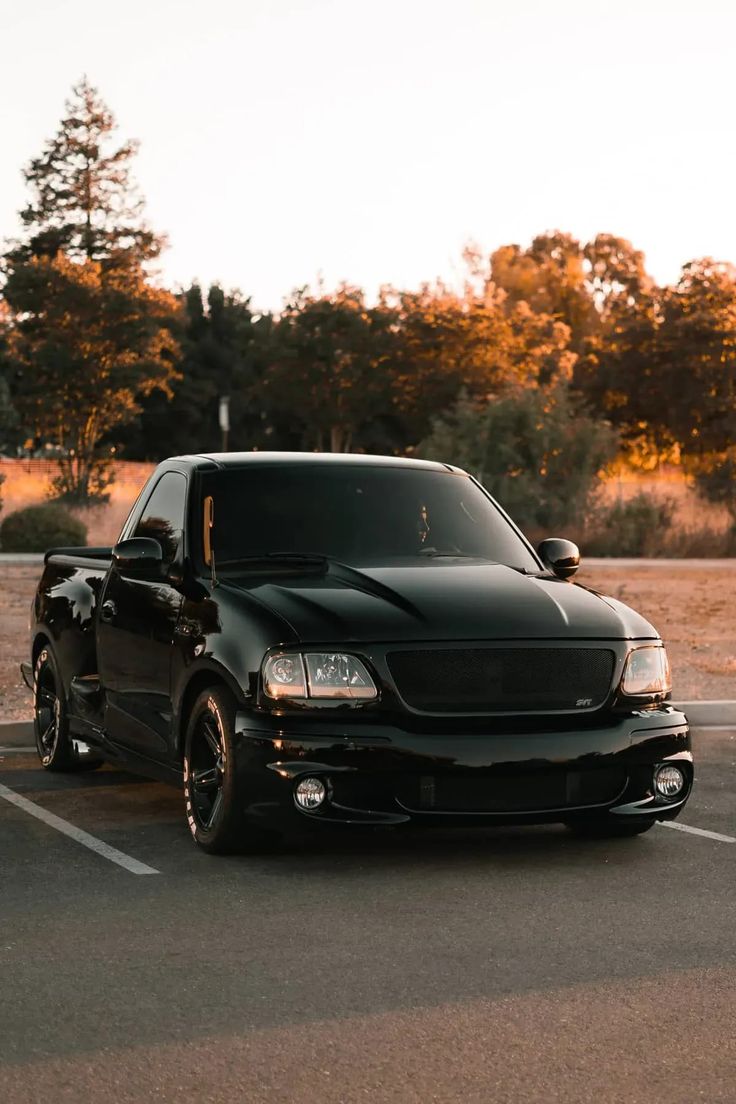 هشت الماسی که در پارکینگ رویایی لیدی گاگا جا خوش کرده‌اند