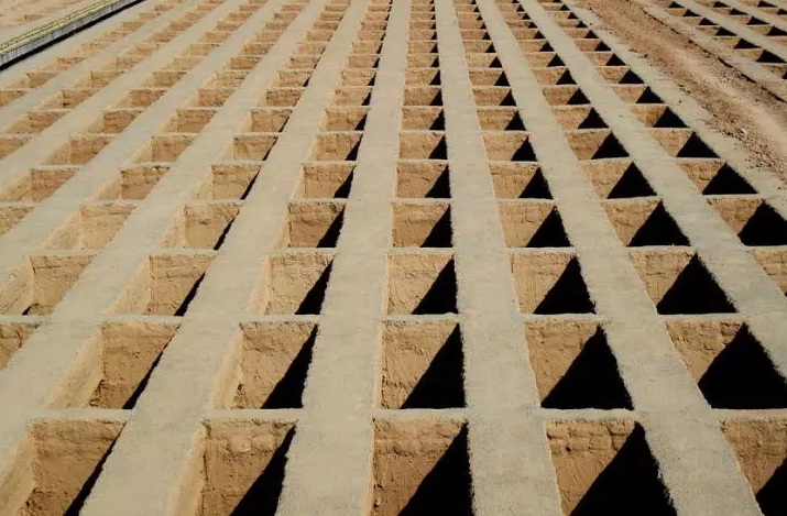 تصویری از یک اتفاق شرمآور در بهشت زهرای تهران