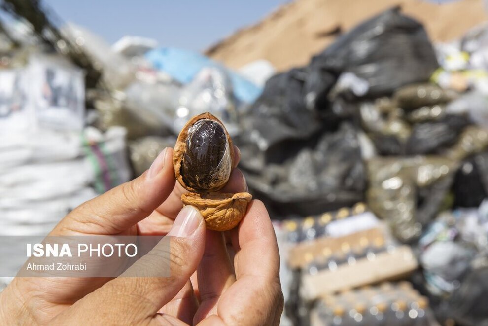 تصاویری از عجیبترین نوع جاسازیِ مواد مخدر