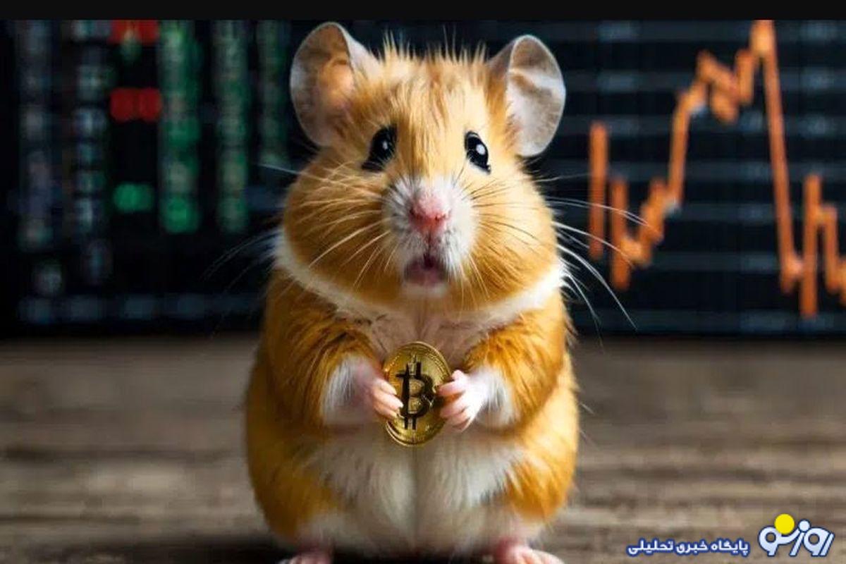 داغ همستر داغ همستر