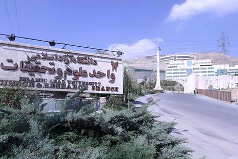 10 نکته توجهبرانگیز درباره دختر خبرساز این روزها