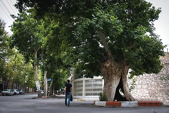 در ساعات اخیر شاهرود به مهمترین شهر ایران تبدیل شده