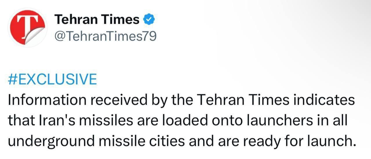 photo_2025-03-31_01-56-35