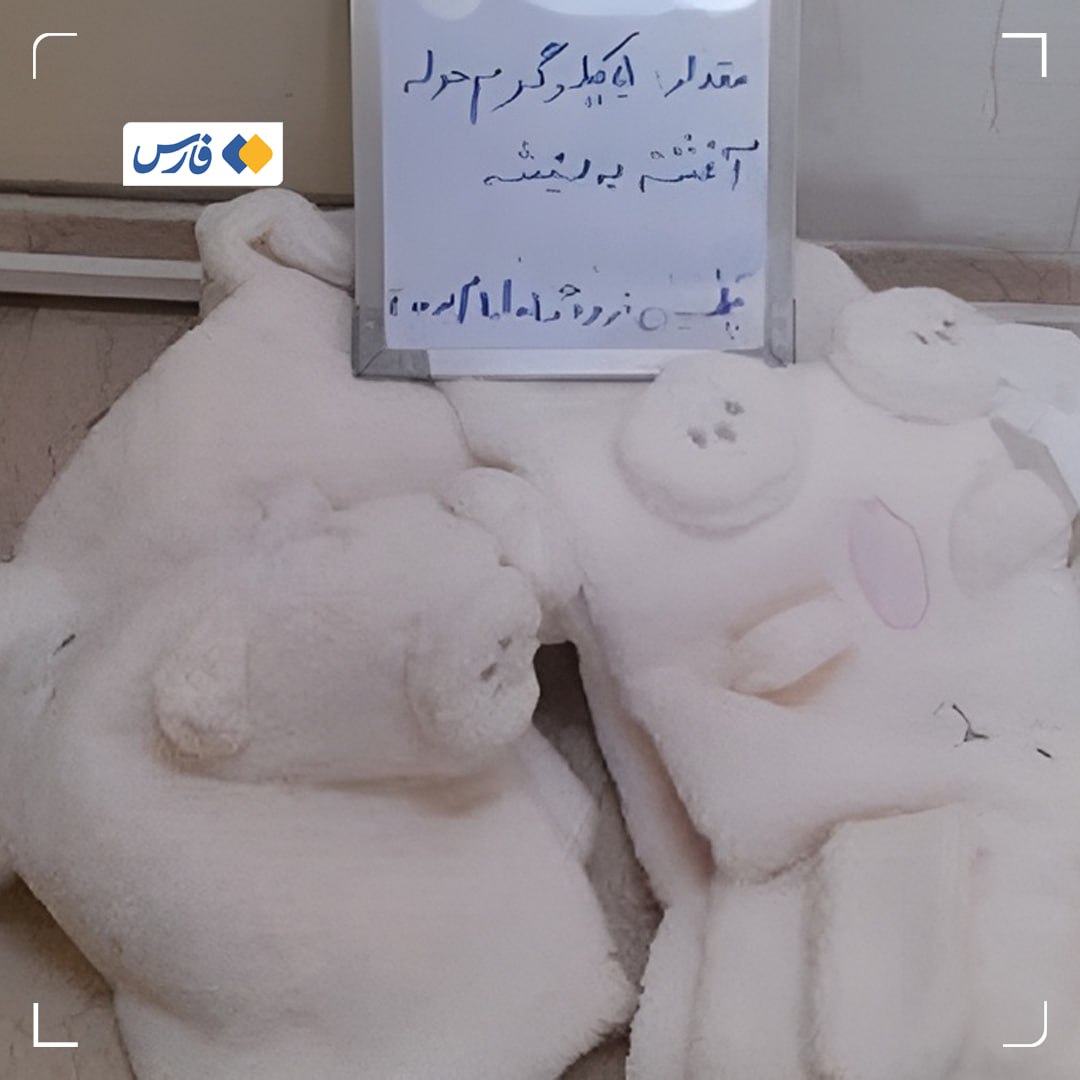 photo_2025-04-01_19-27-39