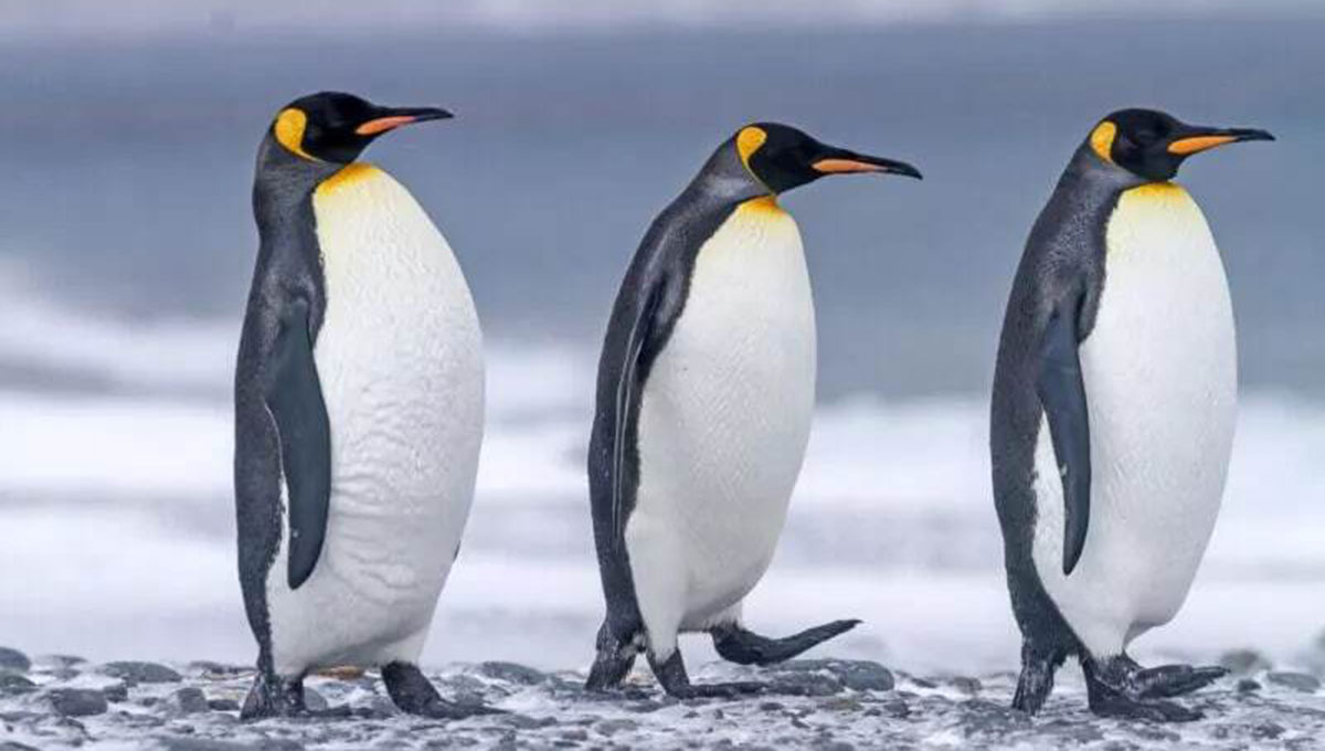 281c5479-b08a-4346-85c9-b296d5b5fa1c