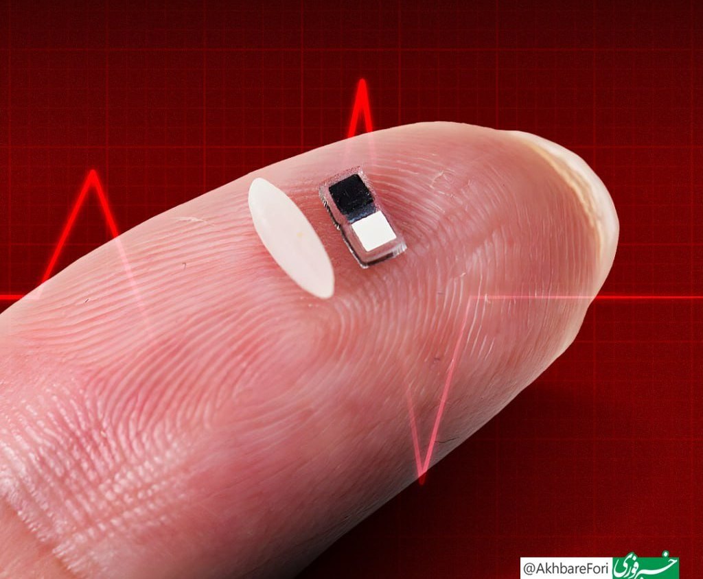 photo_2025-04-05_20-43-54