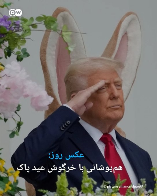 photo_2025-04-22_10-12-40